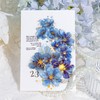 Arpaper Seal Collage Assortment (Flower Words)