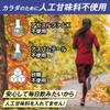 スポーツドリンク 粉末 [クエン酸 2,000㎎＋11種のビタミン ミックス1日分配合 ビタミンC 100mg 葉酸] 脂質0 カロリー0
