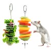 Coalinker Rat Enrichment Toys 2 Pack, Stainless Steel Rat Foraging