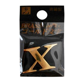 Hikari Brass Gold Letter Capital X 00872698-1 QL20-X