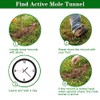 4 Pack Mole Traps that Kill Best, Mole Trap Easy