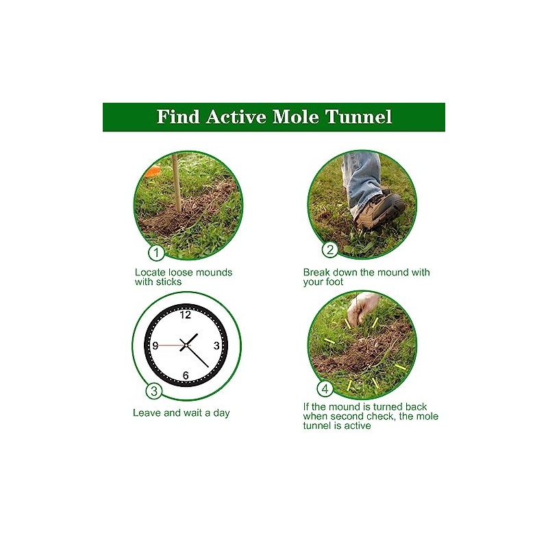 4 Pack Mole Traps that Kill Best, Mole Trap Easy