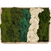Prefleur Preserved Reindeer Mix Craft Moss Natural Green DIY Kit