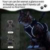 YUBBYSTU Cat Harness and Leash Set for Walking, Adjustable Kitten