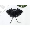 YAKEFJ Detachable False Collar Embroidery Neck Ruff Mini Cape Dickey