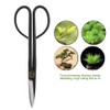205mm Long Handle Bonsai Scissors Pruning Shear Bud Leaves Trimming