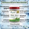 Aloe Vera Powder