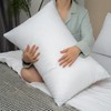 Jbetox Pillows for Sleeping 4 Pack Bed Pillow Set of