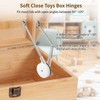2 Pcs Toys Box Hinges, Soft Close Lid Chest Hinges,