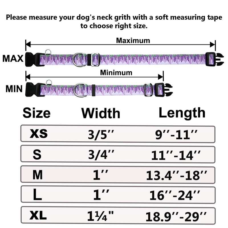 Fidohug Martingale Collar for Dogs with Buckle Floral No Pull