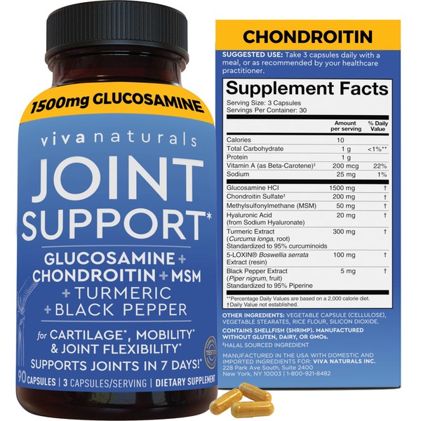 Viva Naturals Glucosamine Chondroitin MSM Joint Support Supplement, 90 Capsules