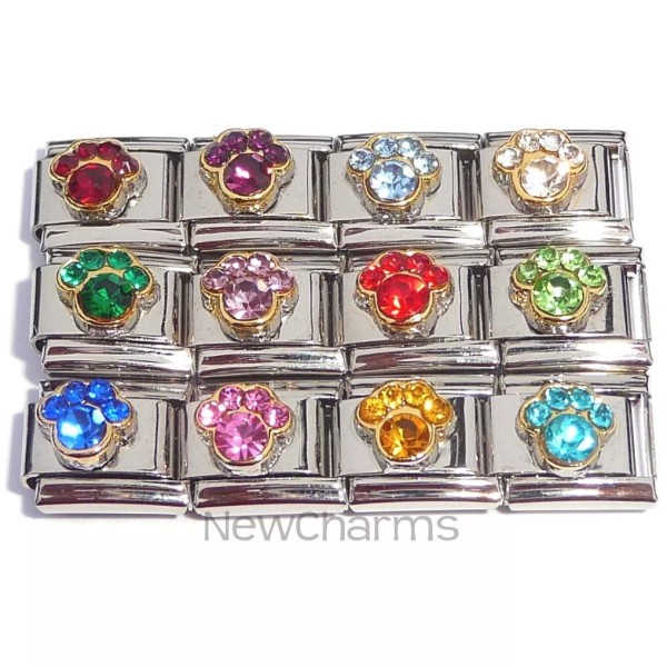 Mix Set of 12 Paw Colorful Italian Charms Birthstone Inspired