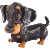 Little Paws - Frankie - Dachshund