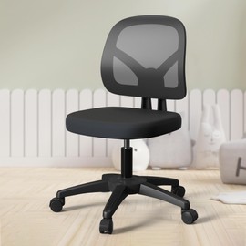 Swivel Modern Low-Back Home Computer Office Desk Chair with Wheels No Arms for Adult Study and Work