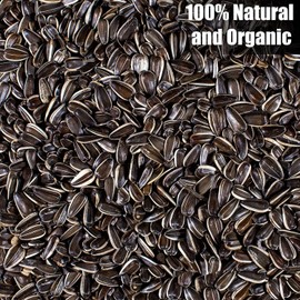 Old Potters Wildlife Striped Sunflower Seed for Wildlife Bird Feeding, Non-GMO and USA Small Farm Grown, 25 Pounds