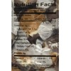 Bulk Saltwater Taffy, S’mores, 3 Pounds