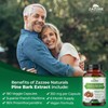Zazzee Extra Strength French Maritime Pine Bark 20:1 Extract, 350
