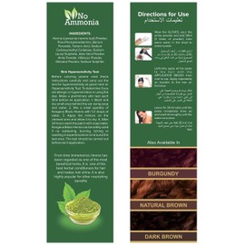 Kangana Black Henna for 100% Grey Coverage - Natural Hair Dye/Color | 6 Pouches - Total 60g (2.11 Oz)