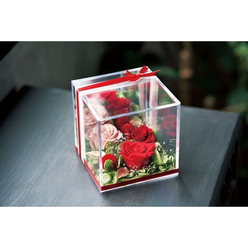 Daichi Farm DO001510-101 Preserved Flowers, Soft Pyramid Hydrangea Head, Baby