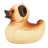 PUG RUBBER DUCK Novelty Gift Collectable