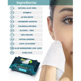 Combat Wipes ACTIVE Outdoor Wet Wipes - Extra Thick Camping Gear, Biodegradable, Body & Hand Cleansing/Refreshing Cloths for Backpacking & Gym w/Natural Aloe & Vitamin E(4 packs, 25 wipes each)