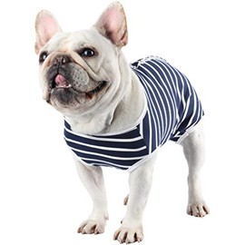 Etdane Dog Diapers Sanitary Panties Physiological Period Shirts Surgical Recovery Suits for Male and Female Dogs, Blue/X-Small
