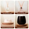 Coconut Reed Diffuser with 10 Fiber Sticks, 250ml Reed Diffusers