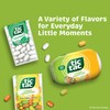 Tic Tac Citrus Adventure Mints, Bulk 8 Pack, Mints On