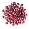 Food to Live Organic Adzuki Sprouting Beans, 5 Pounds –