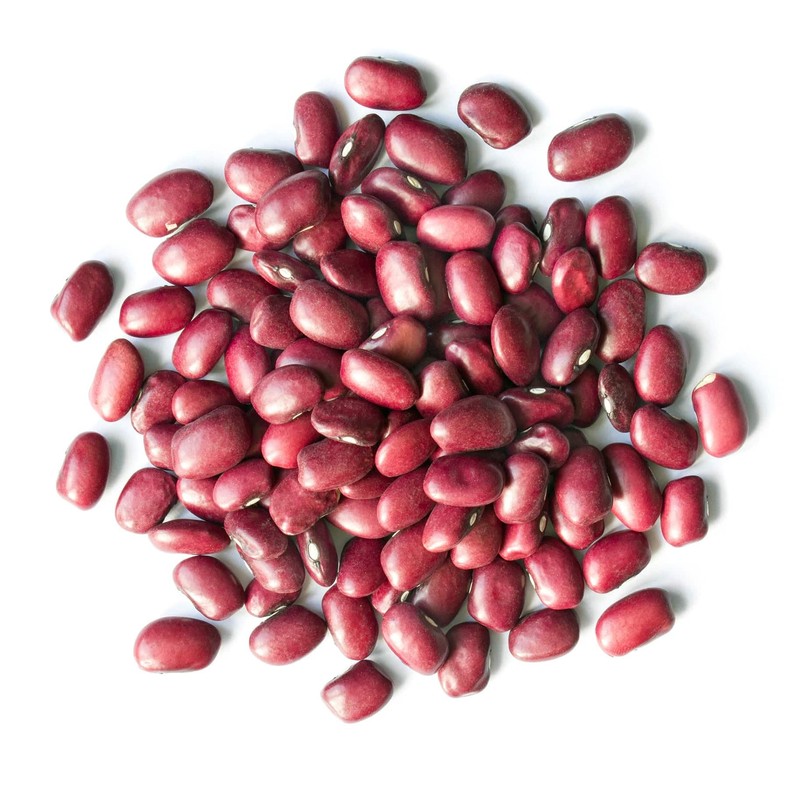 Food to Live Organic Adzuki Sprouting Beans, 5 Pounds –