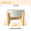 SPUNKYJUNKY Ceramic Elevated Dog Bowls 2 Pack - 5.1inch Raised