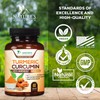 Turmeric Curcumin Supplement - 95% Curcuminoids with Organic Turmeric &