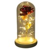 Rose in Glass Dome Lucky Beautiful Symbolism Romantic Enchanted Rose
