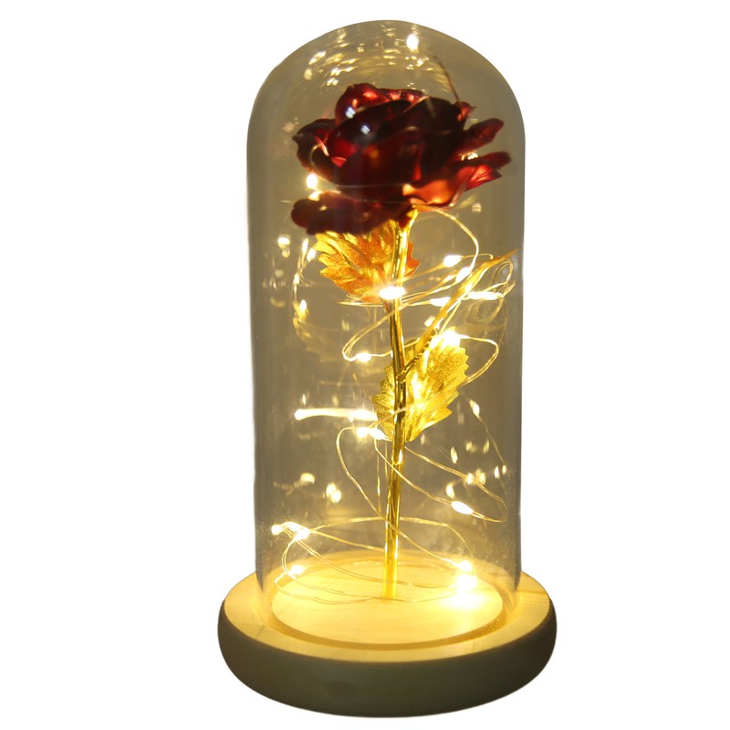 Rose in Glass Dome Lucky Beautiful Symbolism Romantic Enchanted Rose