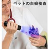 Black Light, UV Light, LED Flashlight, Ultraviolet 395nm, Aluminum Alloy