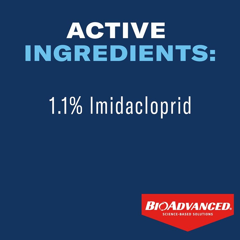 BioAdvanced 12 Month Tree and Shrub Protect and Feed, Granules,