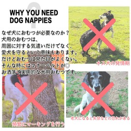 Feather Store Dog Manor Belt, 3-piece Set, Male, Mesh Lining, Absorbent Layer, Waterproof, Adjustable Waist, Prevents Marking, Estrus, Nursing, Leak Prevention, Manners Pants (M, Camouflage)