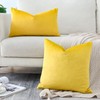 Artscope Velvet Cushion Cover Decorative Cushion Sofa Cushion Lumbar Cushion