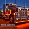 Wodvyss 10-Pack Red 2" 4 LED Round Trailer Side Marker