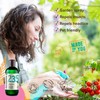Naissance Organic Cold-Pressed Virgin Neem (no. 235) 250ml - Pure,