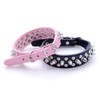 Leather Spiked Studded Dog Collar 1" Wide Protecting Daring Pets