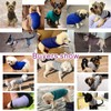 CHBORCHICEN Small Dog Sweaters Knitted Pet Cat Sweater Warm Dog