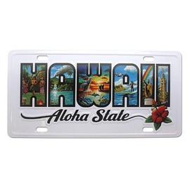 Welcome to the Islands Hawaii License Plate Aloha State