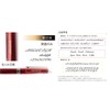 Pilot Evolt Multi-functional Ballpoint Pen with Name Engraving (Body Color