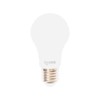 iGoto F3P20105 Pack de 3 Focos 5w A55 Luz Calida