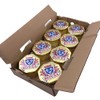 ( 8 Pack ) Royal Petit Camembert 125g