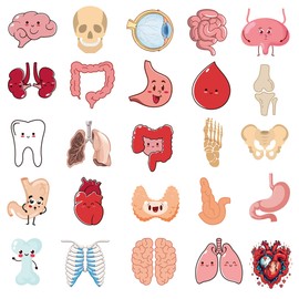 Dorgua 50Pcs Cute Cartoon Body Organs Stickers, Human Organ Sticker, Human Biology Student Stickers for Doctors Nurses Teacher, Vinyl Sticker for Adults Water Bottle Laptop Decor Party Favors Gifts