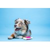 Hartz Chew 'n Clean Tuff Bone Bacon Scented Dental Dog