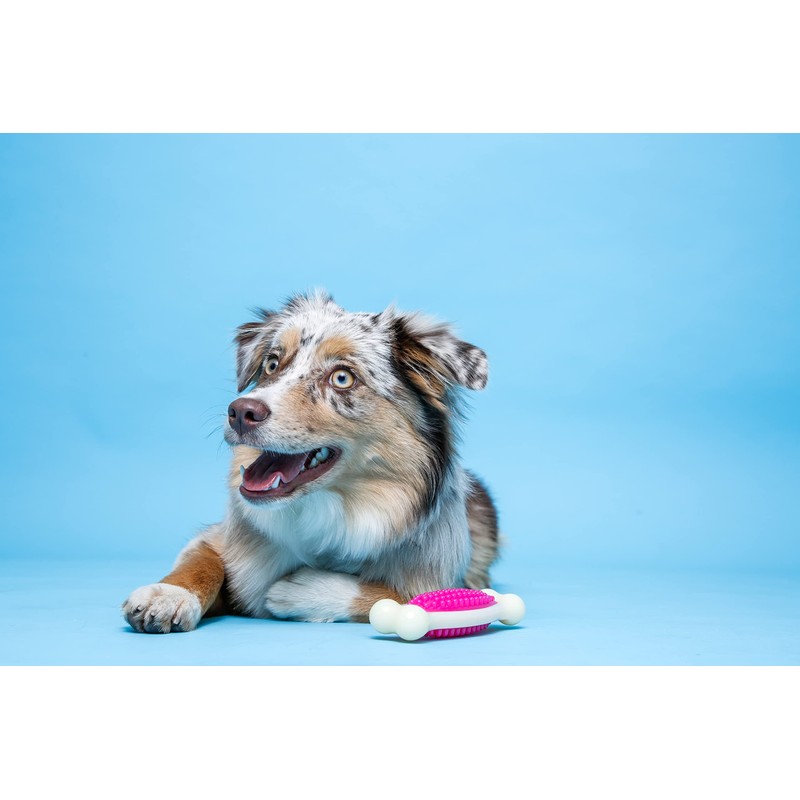 Hartz Chew 'n Clean Tuff Bone Bacon Scented Dental Dog