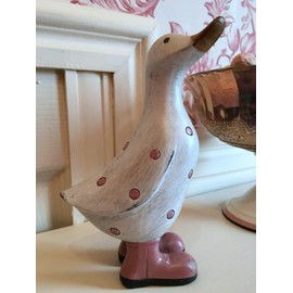 David's Polka Dot Duck Small Pink Ornament